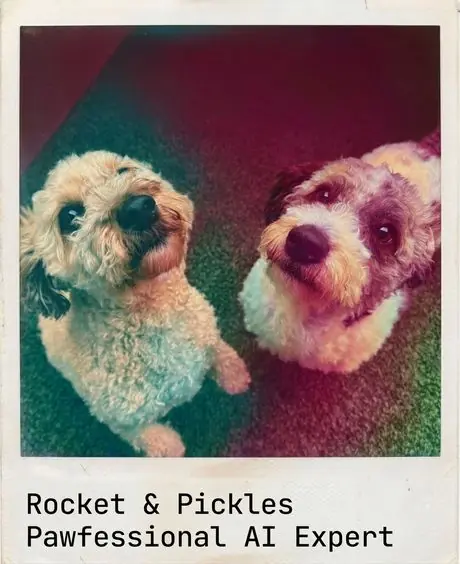 Rocket & Pickles, Pawfessional AI Expert